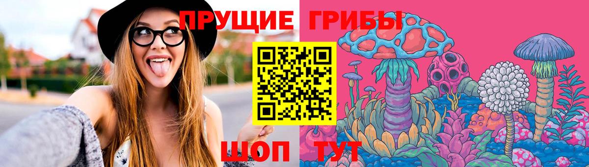 Котовск  Галлюциногенные грибы Cubensis  Вход с VPN 