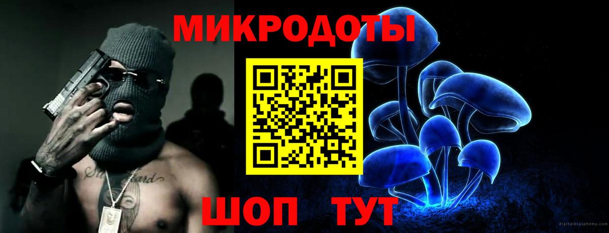 Галлюциногенные грибы Psilocybine cubensis Котовск